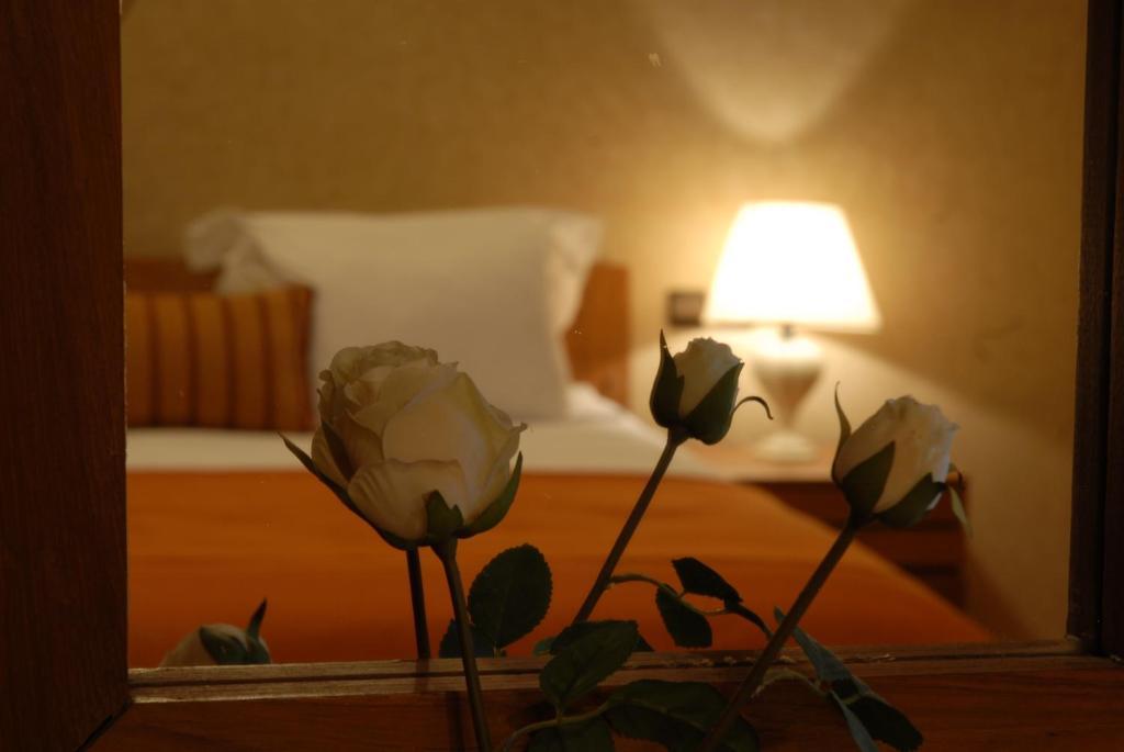 艾兹鲁 塞里斯尔宫旅馆酒店 客房 照片